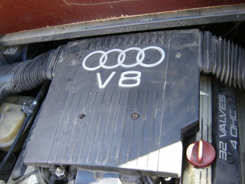 V8