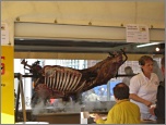 Zum Vergrern anklicken